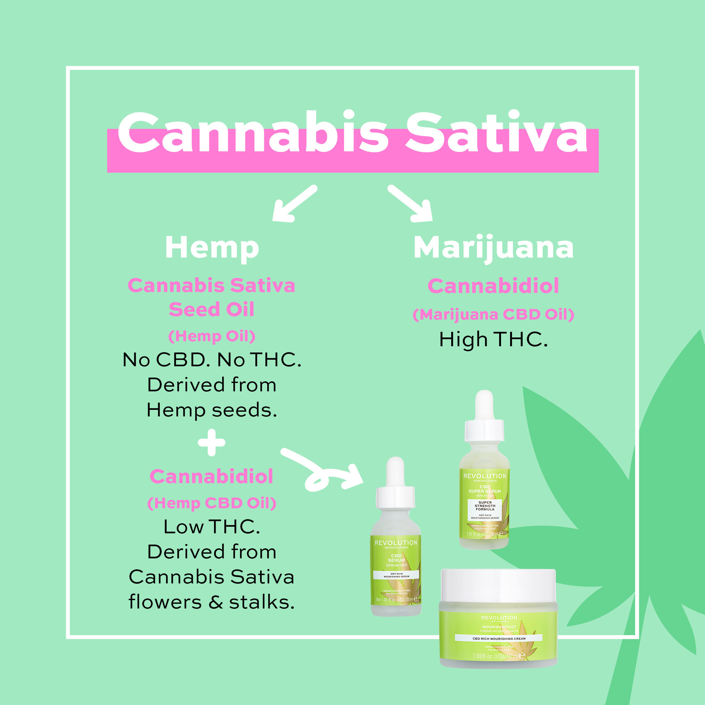 revolution cbd serum