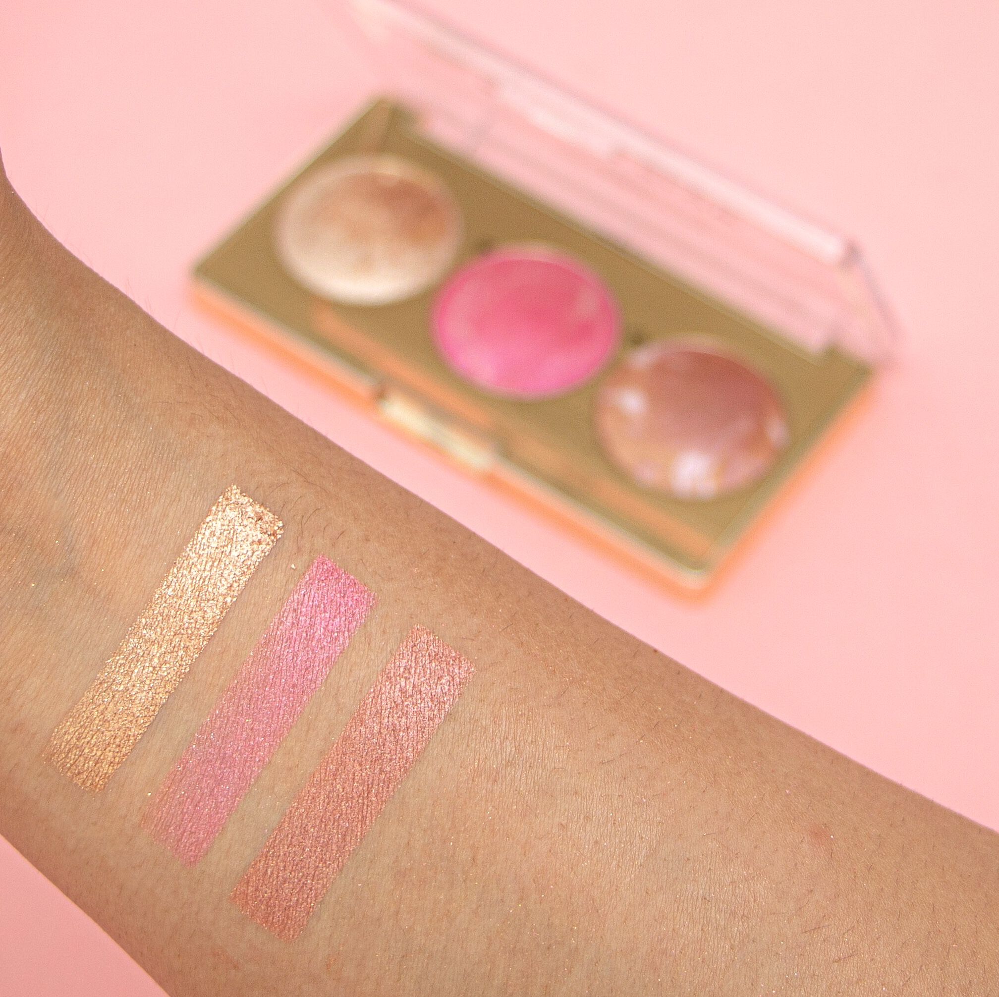 revolution pro blush palette