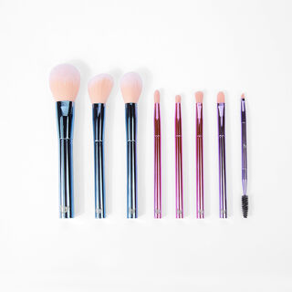 BH The Total Package 8 Piece Face & Eye Brush Set With Wrap