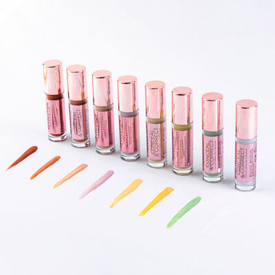 Conceal & Correct Concealer