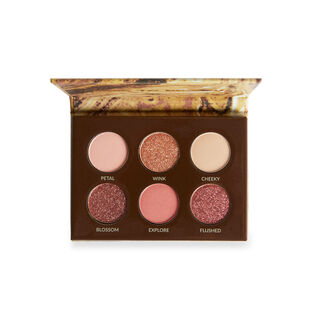 BH Unleashed 6 Color Eyeshadow Palette Blushing