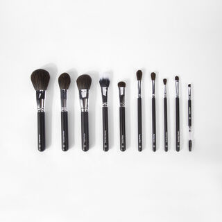 BH Ultimate Essentials 10 Piece Face & Eye Brush Set With Bag